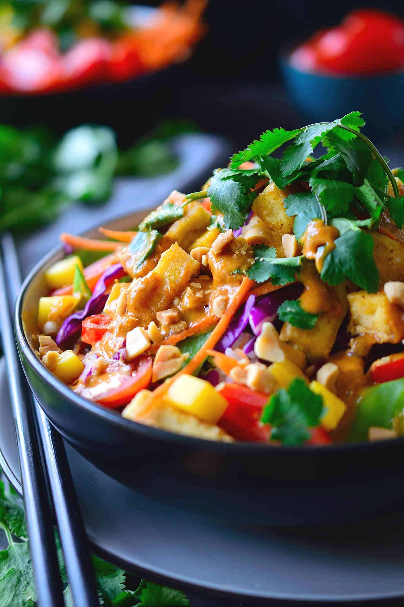 This Thai Buddha bowl is quick and easy to put together with heaps of fresh vegetables and crispy fried tofu served over coconut rice and topped off with a simple Thai peanut sauce with spicy red curry. Great for a weeknight dinner, these bowls come together in just 15 minutes!