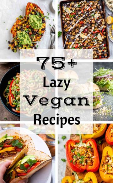 75+ Lazy Vegan Recipes - The Stingy Vegan