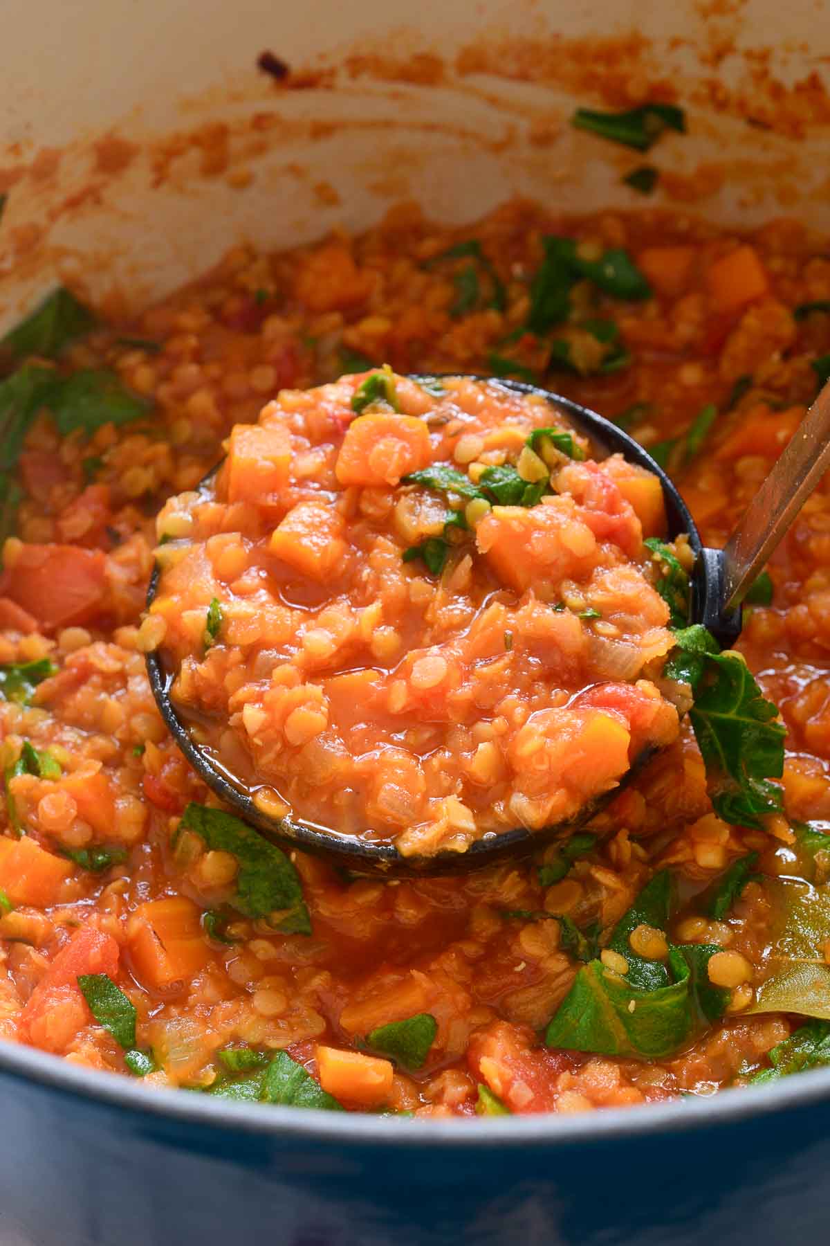 A ladleful of red lentil stew in a pot.