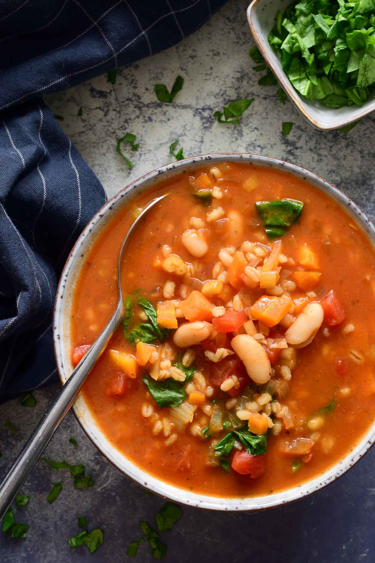 Bean and Barley Soup